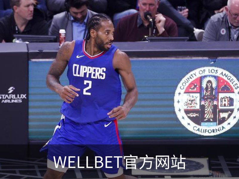 WELLBET官方网站简介